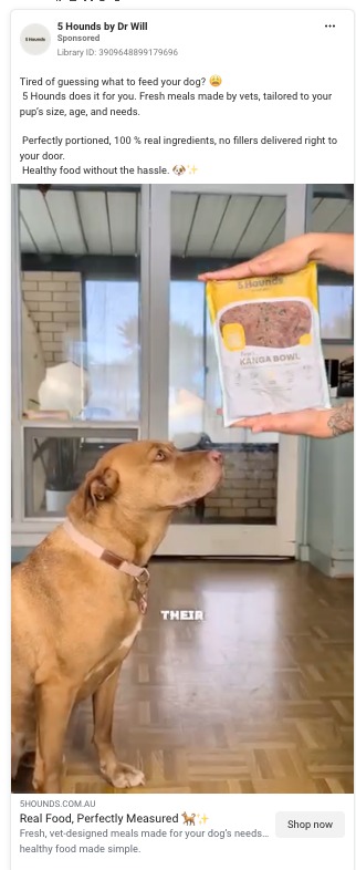 WhatsApp Image 2025-12-21 at 19.54